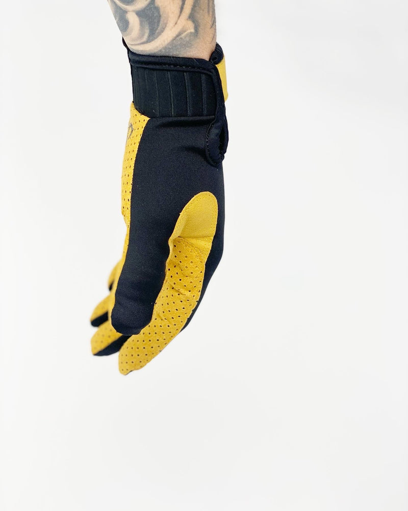 Vision Gloves